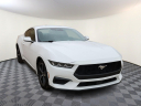 Thumbnail image of 2024 Ford Mustang at The Garage