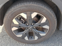 Thumbnail image of 2023 Kia Sportage at Maxon Hyundai Inc.