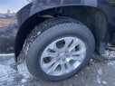 Thumbnail image of 2023 Chevrolet Silverado 1500 at New Rochelle Chevrolet