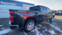 Thumbnail image of 2023 Chevrolet Silverado 1500 at New Rochelle Chevrolet