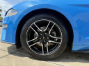 Thumbnail image of 2022 Ford Mustang at JT's Kia (used)