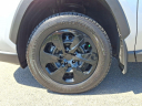 Thumbnail image of 2020 Toyota RAV4 at Hamilton Honda