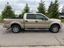 Thumbnail image of 2012 Ford F-150 at LaFontaine Infiniti of Ann Arbor
