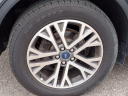 Thumbnail image of 2021 Ford Escape at Backhuus Auto Sales Inc
