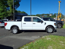 Thumbnail image of 2023 Ford F-150 at Riverside Ford