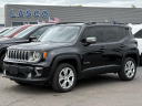 2019 Jeep Renegade Limited at Lasco Ford