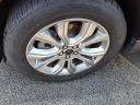 Thumbnail image of 2024 Ford Edge at Pogue Chevrolet Buick Gmc