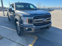Thumbnail image of 2019 Ford F-150 at Carousel Pre-Owned