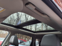 Thumbnail image of 2023 Nissan Rogue at Nissan 46