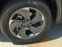 Thumbnail image of 2024 Nissan Rogue at Lexus Escondido USED