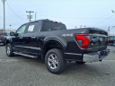 Thumbnail image of 2024 Ford F-150 at Lilliston Chrysler Jeep Dodge