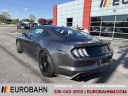 Thumbnail image of 2015 Ford Mustang at EurobahnBmwMiniMercedesBenz of Greensboro, NC