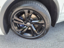 Thumbnail image of 2023 Volkswagen Tiguan at Gallatin Honda