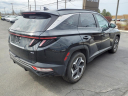 Thumbnail image of 2022 Hyundai TUCSON at Matthews Hyundai Of Greece Ny