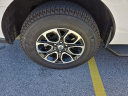 Thumbnail image of 2024 Ford Expedition at Kia of Cape Coral