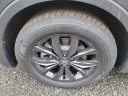 Thumbnail image of 2024 Volkswagen Tiguan at D'Ambrosio Dodge