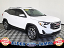 Thumbnail image of 2019 GMC Terrain at Elder Ford of Tampa