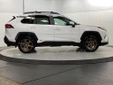 2023 Toyota RAV4 Hybrid Woodland Edition at Schaumburg Toyota