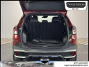 Thumbnail image of 2024 Kia Sportage at Novak Motors NY