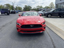 Thumbnail image of 2022 Ford Mustang at Ed Martin Budget Car Sales. USED