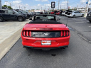 Thumbnail image of 2022 Ford Mustang at Ed Martin Budget Car Sales. USED