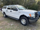 Thumbnail image of 2014 Ford F-150 at RIGHT PRICE AUTO SALES