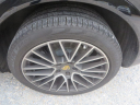 Thumbnail image of 2020 Porsche Cayenne at WARD'S MOTOR SPORTS, INC