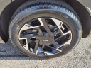 Thumbnail image of 2023 Kia Sportage at Mathews Nissan