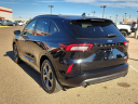 Thumbnail image of 2023 Ford Escape at Frank Brown Honda GMC