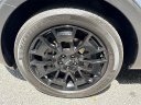 2022 Kia Telluride SX at Palmers Airport Hyundai