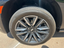 Thumbnail image of 2024 Cadillac Escalade at Wilson Auto Family