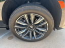Thumbnail image of 2024 Cadillac Escalade at Wilson Auto Family