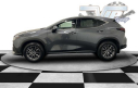 Thumbnail image of 2022 Lexus NX 350 at Fiat Alfa Romeo of Westbury
