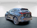 Thumbnail image of 2023 Lexus NX 350 at Ray Catena Lexus Freehold Nj