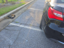 Thumbnail image of 2013 Chrysler 200 at UNIVERSAL MOTORS