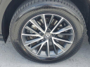 Thumbnail image of 2024 Lexus NX 250 at Lexus of West Kendall Used