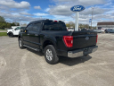 Thumbnail image of 2021 Ford F-150 at Alma Ford