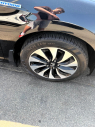 Thumbnail image of 2014 Honda Accord Hybrid at Rockland Motors