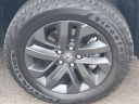 Thumbnail image of 2024 Honda Ridgeline at Serra Honda Brighton