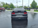 Thumbnail image of 2020 Ford Mustang at Crest Ford Of Flat Rock