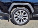Thumbnail image of 2022 Toyota RAV4 at Tri-County Lexus