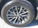 Thumbnail image of 2024 Lexus NX 250 at Lexus of West Kendall Used