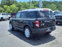 Thumbnail image of 2024 Ford Bronco Sport at Sam Wampler's Freedom Ford Eufaula