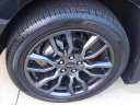Thumbnail image of 2022 GMC Terrain at Serra Buick Gmc Champaign
