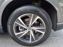 Thumbnail image of 2023 Lexus RX 350 at Ray Catena Lexus Monmouth