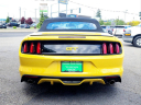Thumbnail image of 2017 Ford Mustang at Common Sense Motors