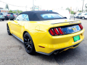 Thumbnail image of 2017 Ford Mustang at Common Sense Motors