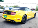 Thumbnail image of 2017 Ford Mustang at Common Sense Motors