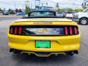 Thumbnail image of 2017 Ford Mustang at Common Sense Motors