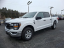 Thumbnail image of 2023 Ford F-150 at LB Smith Ford Lincoln